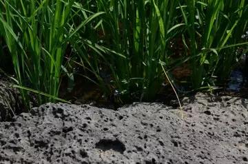 欧博ABG官网(中国集团)有限公司