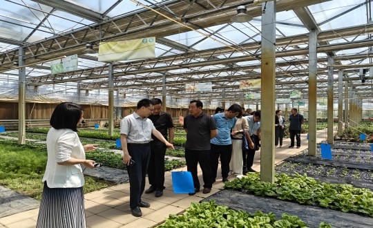 2024年6月27日，，中国绿色食物生长中心相关向导莅临农业总公司考察调研_副本.jpg
